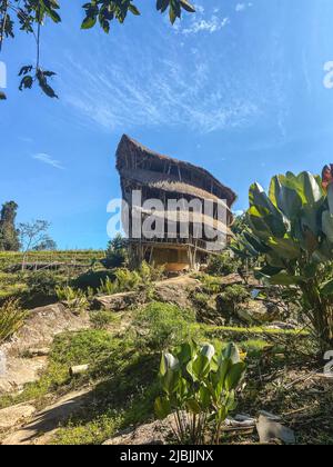 Riesige Bambushütte im Doi Inthanon Nationalpark in Chiang Mai, Thailand Stockfoto