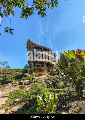 Riesige Bambushütte im Doi Inthanon Nationalpark in Chiang Mai, Thailand Stockfoto