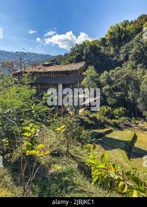 Riesige Bambushütte im Doi Inthanon Nationalpark in Chiang Mai, Thailand Stockfoto