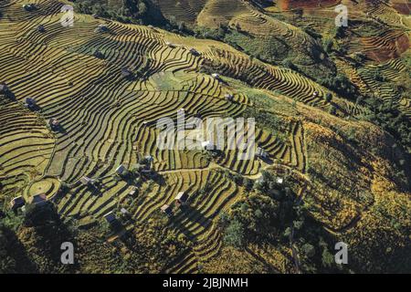 Ban Pa Pong Piang Reisterrassen oder Baan Pa Pong Pieng im Doi Inthanon Nationalpark, Chiang Mai, Thailand Stockfoto