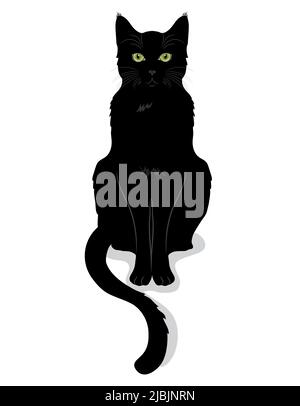 Schwarze Katze mit grünen Augen Stock Vektor