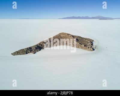 Isla Incahuasi auf dem Salar de Uyuni, Bolivien Stockfoto