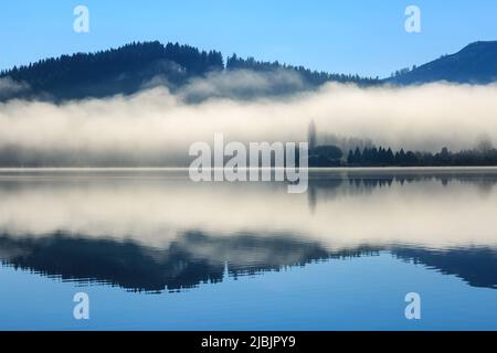 Morgennebel und bewaldete Hügel spiegeln sich in den ruhigen Gewässern des Lake Tutira, Neuseeland Stockfoto