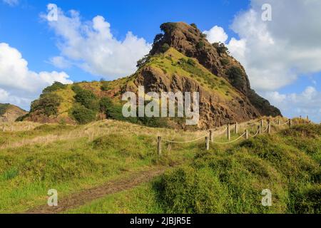Ein Wanderweg, der zum Lion Rock (Te Piha) führt, einem natürlichen Wahrzeichen am Piha Beach, Neuseeland Stockfoto