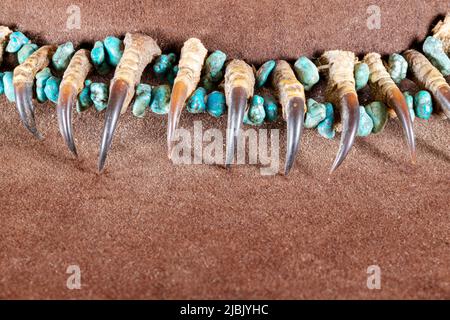 Old Native American Lakota Halskette aus Greifkrallen und türkisfarbenen Steinen auf braunem Filz mit Kopierraum Stockfoto