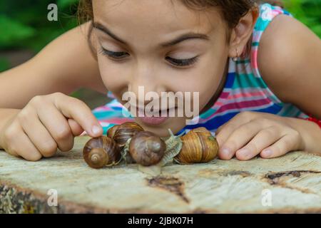 Das Kind untersucht die Schnecken am Baum. Selektiver Fokus. Stockfoto