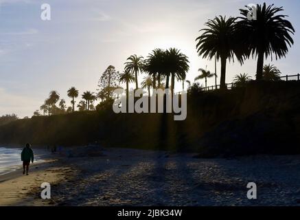 Montecito, CA, USA. 7.. Juni 2022. Am 6. Juni 2022, Butterfly Beach, Montecito, CA, ergießt sich die Sonne durch Palmen Kurz bevor ein Mann am Strand ein Feuer macht, das die Bewohner und die Feuerwehr und Polizei von Montecito alarmiert. (Bild: © Amy Katz/ZUMA Press Wire) Stockfoto