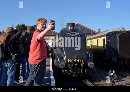 Ein Eisenbahnfreund macht ein Selfie mit dem neu restaurierten LNER A4 Pacific 4498 „Sir Nigel Gresley“ in der Kidderminster Station, Severn Valley Railway, Großbritannien Stockfoto