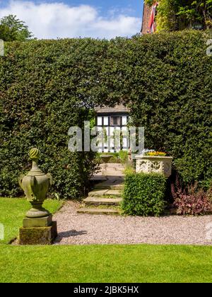 Gawsworth Hall durch die Hecke mit Steinurne und Pflanzgefäßen Stockfoto