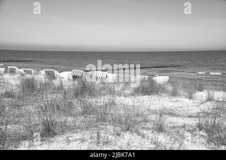 Liegen in schwarz-weiß am Strand von Zingst an der Ostsee. Urlaub mit Sonne und Meer. Hinter den Dünen. Stockfoto