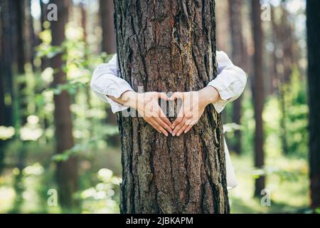 Hände einer jungen Frau umarmen einen Baum im Wald und zeigen ein Zeichen des Herzens und der Liebe zur Natur Stockfoto