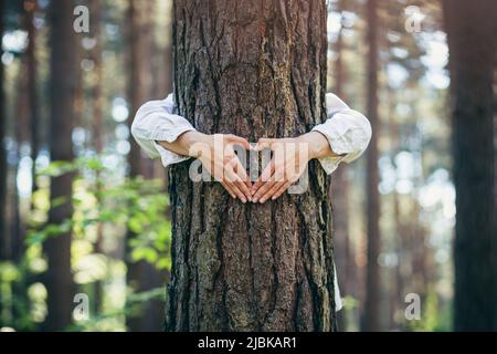 Hände einer jungen Frau umarmen einen Baum im Wald und zeigen ein Zeichen des Herzens und der Liebe zur Natur Stockfoto