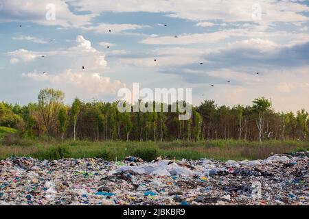 Große Mülldeponie vor dem Hintergrund des Waldes verschmutzt die Deponie die Umwelt Stockfoto