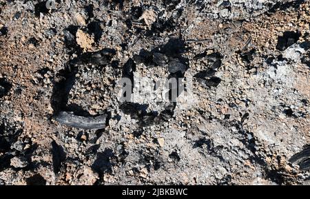 CO2 Kohlendioxid chemische Verbindung, aus verkohlten Holzstücken, die in der Asche einer Feuerstelle liegen, Kohlenstoffreduktion Stockfoto