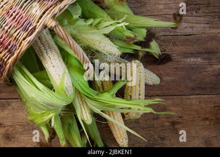 Korb mit Mais auf dem Cob. Ernte auf einem Holztisch. Mais von einer Öko-Farm. Sommer Essen Gemüse Stockfoto