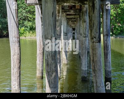 Verwitterte Holzsäulen stützen eine Brücke über einen Fluss und bilden ein rustikales architektonisches Muster. Stockfoto