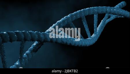 Bild des dna-Strähnens auf schwarzem Hintergrund Stockfoto