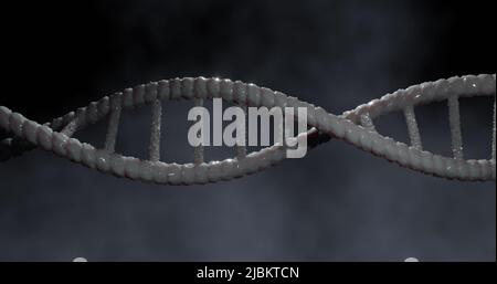 Bild des dna-Strähnens auf schwarzem Hintergrund Stockfoto