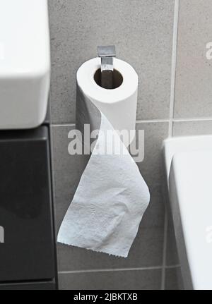 Toilettenpapierhalter im gefliesten Badezimmer. Stockfoto