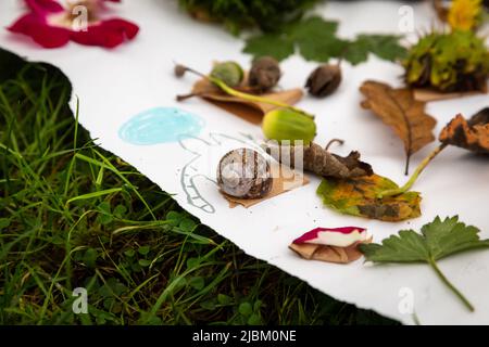 Generation Green - Abenteuer Im Freien Stockfoto