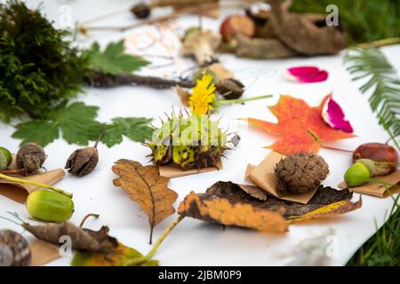 Generation Green - Abenteuer Im Freien Stockfoto