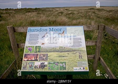 Das Bursdon Moor Nature Reserve hat den Status SSSI und ist eines der letzten verbliebenen Gebiete von Culm Grassland North Devon UK Stockfoto