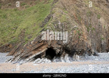 Dramatische Verwerfungen und Faltungen in Klippen an der Welcombe Bay North Devon Stockfoto