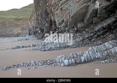 Dramatische Verwerfungen und Faltungen in Klippen an der Welcombe Bay North Devon Stockfoto