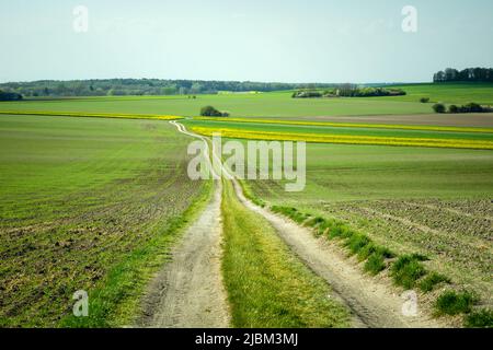 Blick auf eine lange Schotterstraße durch Frühlingsfelder, ländliche Landschaft Stockfoto