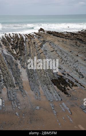 Gefaltetes Gestein aus kohlensäurehaltigen Zeiten iat Low Tide n Widemouth Bay North Devon UK Stockfoto