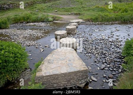 Stepping Stones acrossss Stream in Widemouth oder Welcombe Bay Hartland Peninsula Devon UK Stockfoto