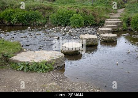 Stepping Stones acrossss Stream in Widemouth oder Welcombe Bay Hartland Peninsula Devon UK Stockfoto