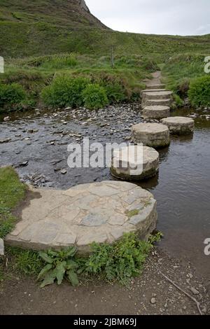 Stepping Stones acrossss Stream in Widemouth oder Welcombe Bay Hartland Peninsula Devon UK Stockfoto