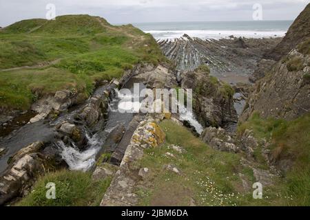 Bach und Wasserfall mit felsigem Strand im Hintergrund Widemouth Bay Hartland Peninsula Devon Stockfoto