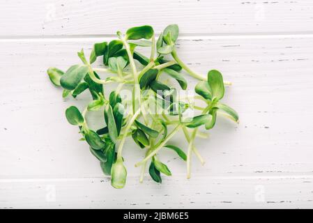 Sonnenblumen-Mikrogrün auf einem weißen Tisch. Stockfoto