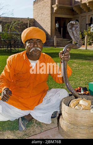 Indischer Schlangenbeschwörer mit indischer Kobra (Naja naja), Kobra in auffälliger Pose, Mandawa, Indien, Indischer Ozean, Asien Stockfoto