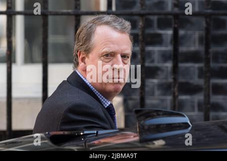 London, Großbritannien. 07.. Juni 2022. Der schottische Staatssekretär Alister Jack kommt in der Downing Street an, um an der Kabinettssitzung teilzunehmen. Gestern hat der britische Premierminister Boris Johnson die Unterstützung von 211 Abgeordneten der Konservativen Partei während einer Vertrauensabstimmung gewonnen, bei der 148 Abgeordnete gegen seine Führung stimmten, nachdem die Wahl nach der Veröffentlichung von Frau Grays Bericht in Covid-Sperrparteien in der Downing Street ausgelöst wurde. Quelle: Wiktor Szymanowicz/Alamy Live News Stockfoto