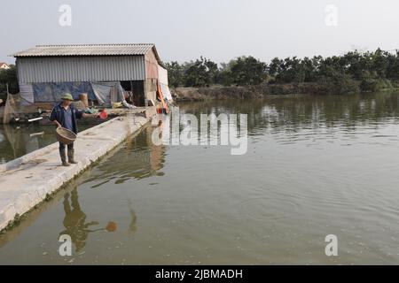 Hydroponic See in Vietnam Stockfoto