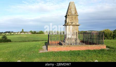 Alfred das große Monument Isle of Athelney Stockfoto