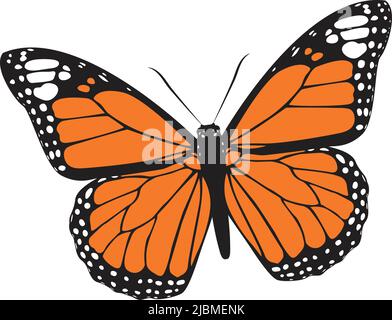 Wunderschöne Vektorgrafik Monarch Butterfly Stock Vektor