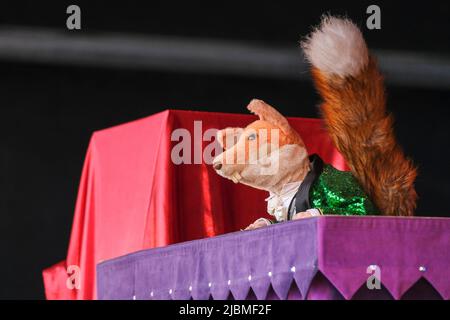 Basil Brush beim Wychwood Festival, Cheltenham, Großbritannien. 4. Juni 2022 Stockfoto