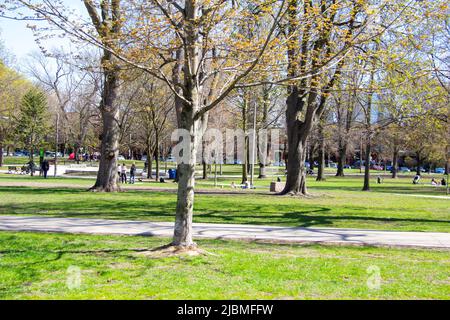 Stadtpark an einem sonnigen Frühlingstag Stockfoto
