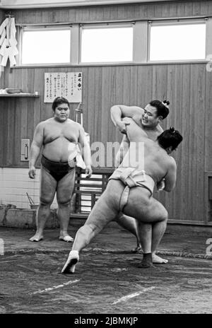 Hartes morgendliches Training im Sumo-Stall, Ryogoku, Tokio Stockfoto