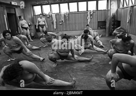 Hartes morgendliches Training im Sumo-Stall, Ryogoku, Tokio Stockfoto