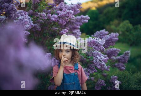 Porträt eines kleinen Mädchens in der Natur blühende lila-lila Wiese, indem sie ihren Finger in die Nase. Stockfoto