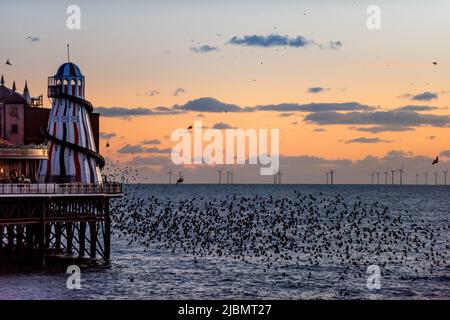 Brighton, 28. 2019. Januar: Das nächtliche Gemurmel Tausender Stare auf dem Weg zum Platz unter Brighton's Palace Pier Stockfoto