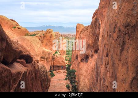 Blick auf den Fin Canyon auf dem Devil's Garden Trail im Arches National Park, Utah, USA. Geologische Sandsteinformationen in der Wüste von Utah. Wandern in Stockfoto