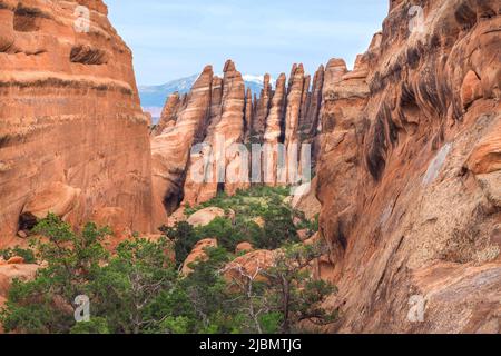 Blick auf den Fin Canyon auf dem Devil's Garden Trail im Arches National Park, Utah, USA. Geologische Sandsteinformationen in der Wüste von Utah. Wandern in Stockfoto