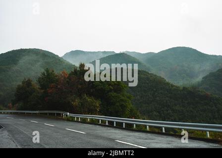 Wald der Präfektur Nagasaki, Nagasaki, Kyushu, Japan Stockfoto