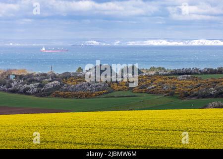 Les Côtes anglaises vues de l'arrière Pays Wissantais, France, Côte d'opale, printemps Stockfoto